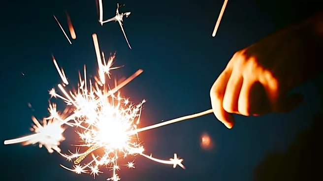 Veterinarian Highlights Common Mistakes Dog Owners Make During Fireworks, Urges Early Preparation