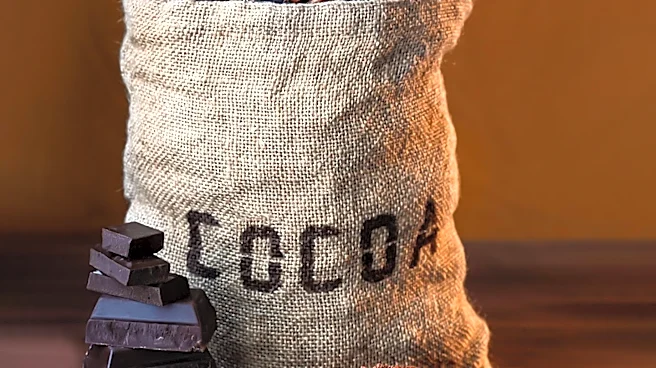 Major Chocolate Companies Explore Cocoa Alternatives Amid Supply Chain Concerns