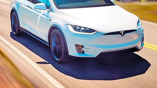 Tesla Reports Record Q2 Vehicle Deliveries Amidst Share Price Decline