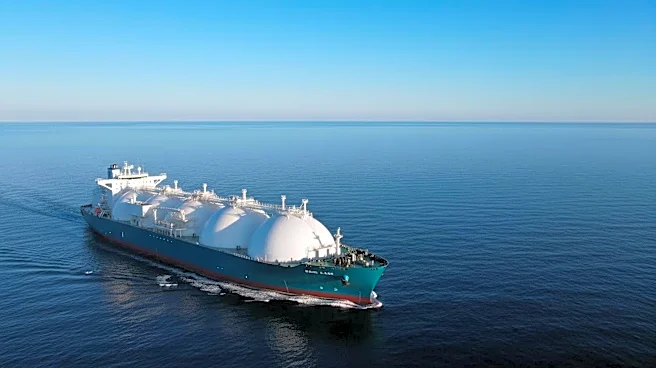 US LNG Exports to Europe Decline as Asia Prices Surge, More Shipments Directed to Africa