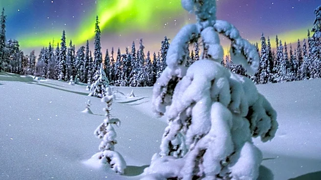 Traction Uranium Completes Radiometric Survey on Aurora Project in Saskatchewan
