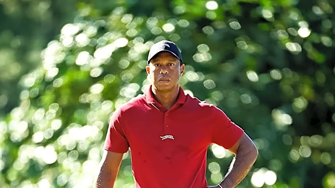 Judge Allows Prosecutors Access to Tiger Woods' Hospital Records in Florida DUI Case