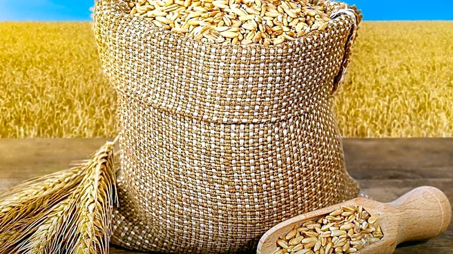 Flexible Solutions International Secures Exclusive Rights to Agricultural Products in Latin America