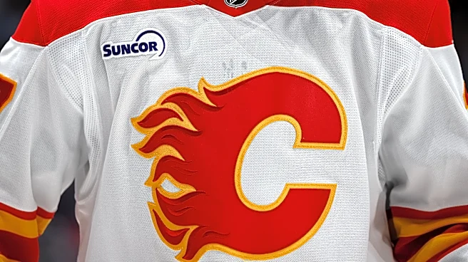 William Stromgren Aims for Full-Time Role with Calgary Flames Amid Roster Changes