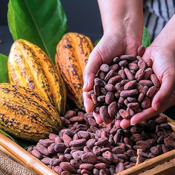 Barry Callebaut's Strategic Reset Under Hein Schumacher Focuses on Profitability Amid Cocoa Volatility
