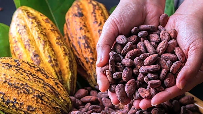 Barry Callebaut's Strategic Reset Under Hein Schumacher Focuses on Profitability Amid Cocoa Volatility