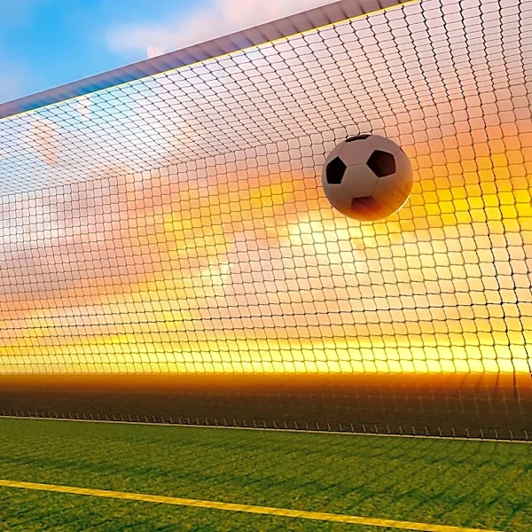 Game Theory's Role in Soccer Penalty Kicks Explored by Economists