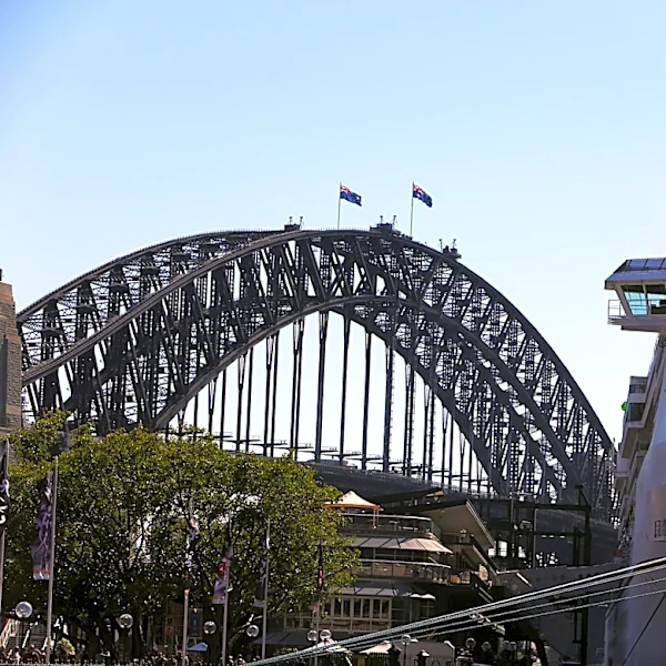 Australian Government Warns of Potential Iron-Ore Price Impact from China's State Buyer