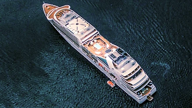 Critical Metals Acquires Cruise Ship for Greenland Project Workforce