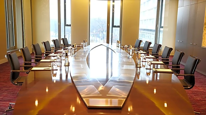 American Lithium Appoints Mine Lifecycle Expert to Strengthen Board