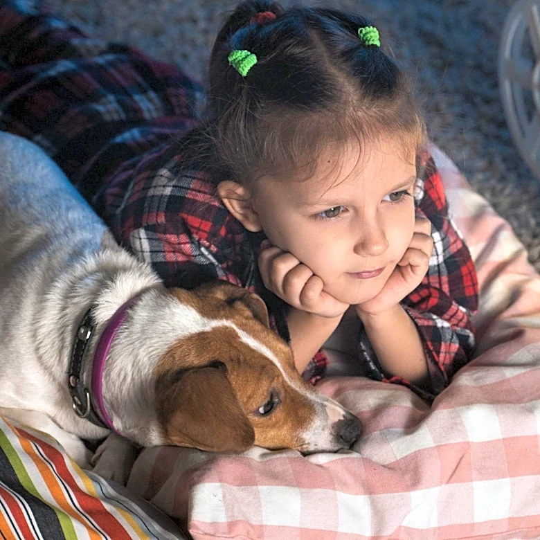 Keeping Pets Safe During Fourth of July Fireworks