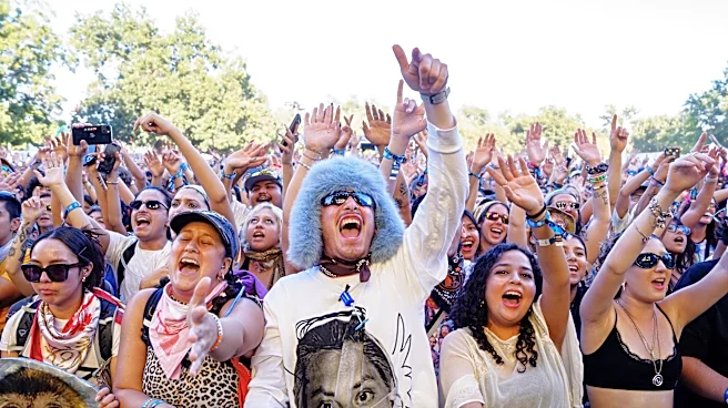 Music Fans Increasingly Use Ear Plugs at Festivals to Protect Hearing