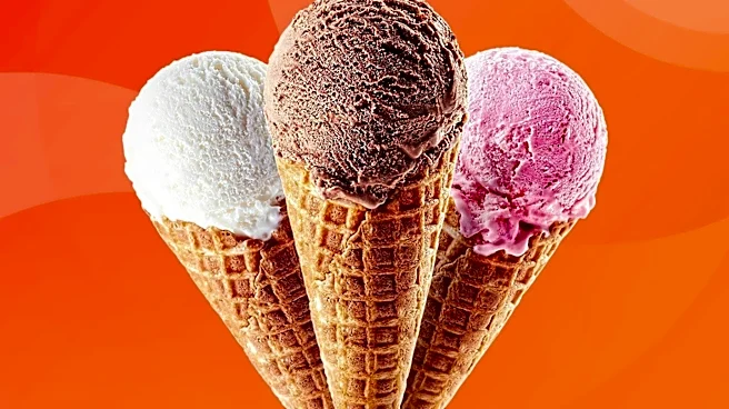 Halo Top Emerges as America's Most-Searched Ice Cream Brand
