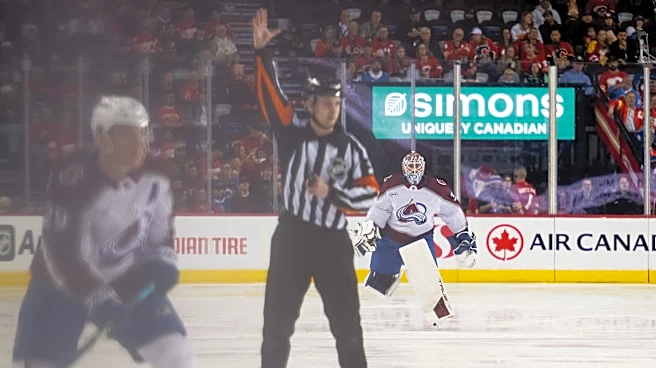 Philadelphia Flyers Make Historic $90 Million Offer Sheet for Leo Carlsson