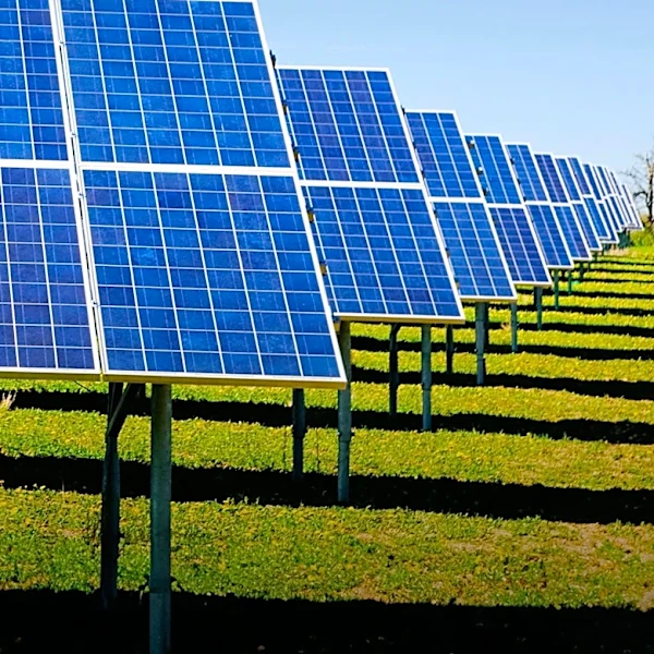 First Solar Faces Securities Class Action Over Misleading Statements on Tariff Impact