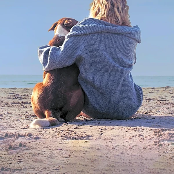 Pet Owners Turn to AI for Grief Support After Losing Beloved Animals