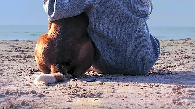Pet Owners Turn to AI for Grief Support After Losing Beloved Animals
