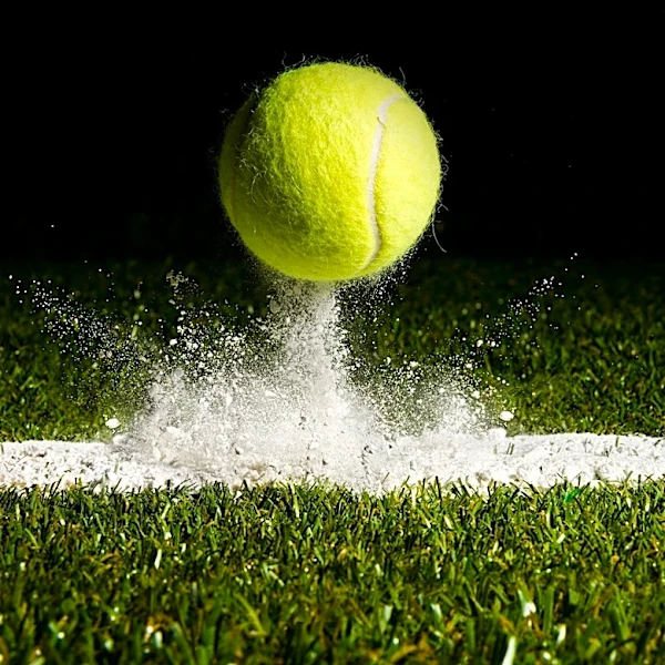 Tennessee Sports Writers Association Announces 2026 All-State High School Tennis Teams