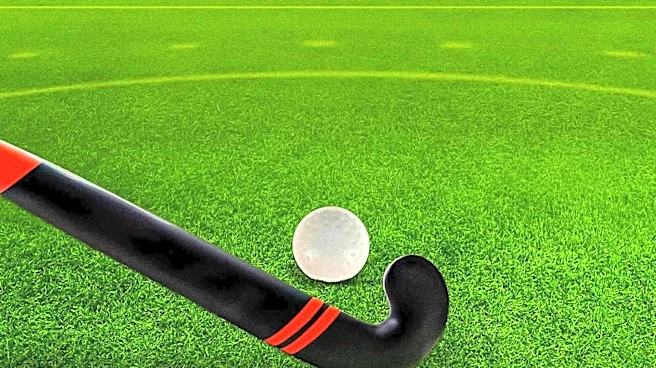 Detroit Red Wings Sign Chase Stillman to One-Year Contract