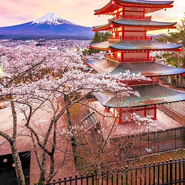 Travel Blogger Critiques Japan's Overhyped Image Amid Personal Journey