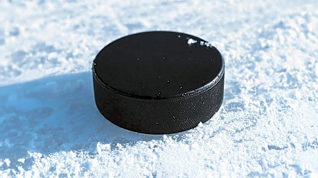 Anaheim Ducks Secure Pavel Mintyukov with 5-Year Contract Amidst NHL Free Agency