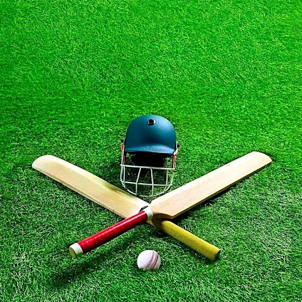 Australia Secures Seventh Women's T20 World Cup Title with Victory Over England