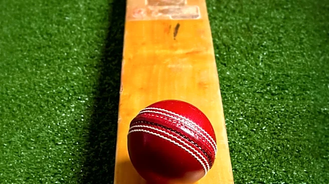 Victoria Appoints Wade Seccombe as New Head of Male Cricket