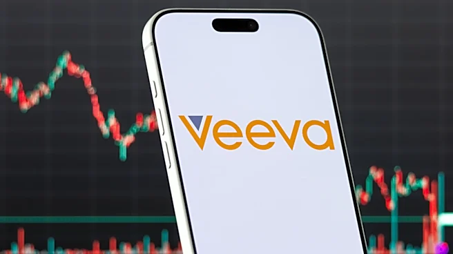 Stock Market Valuation Concerns Raised Amidst Earnings Bubble Warnings