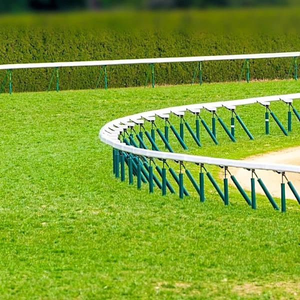 Saratoga Race Course Opens Amidst U.S. 250th Birthday Celebrations, Highlighting Historic Racing Tradition