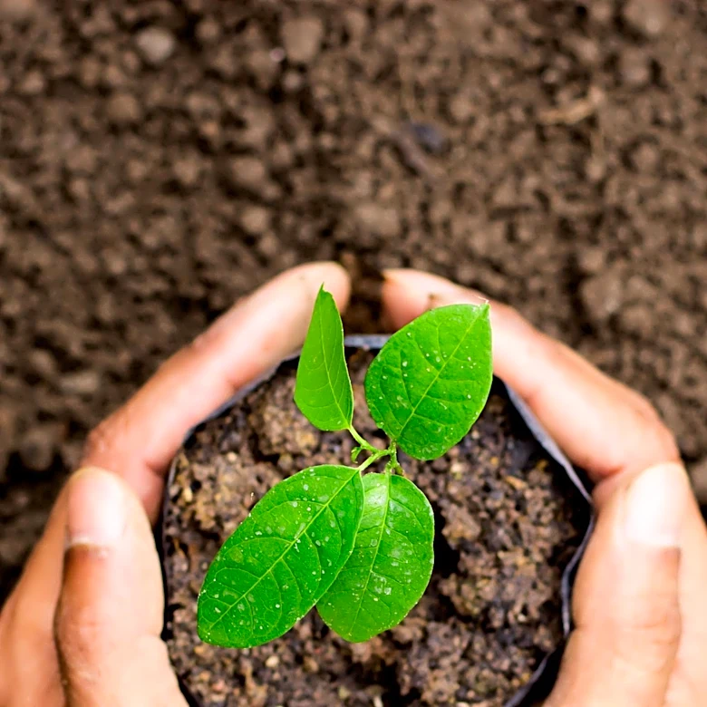 Barilla Enhances Nutritional Profile of Products with Sustainability Focus