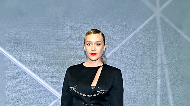 USA Today Crossword Features 'American Horror Story: Hotel' Actor Sevigny