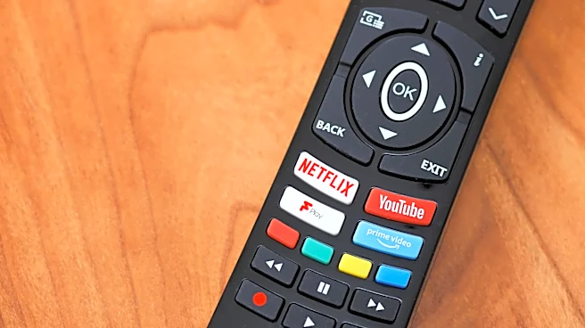 Netflix's Binge-Watching Model Faces Obsolescence Amidst Rise of Short-Form Video Platforms