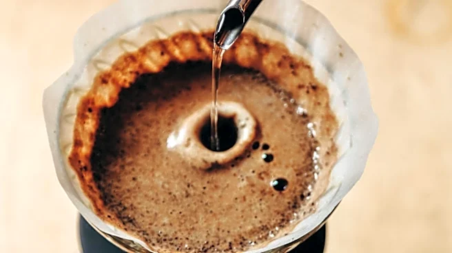 Consumer Reports Ranks Primula Burke Cold Brew Coffee Maker as Top Choice for Home Brewing