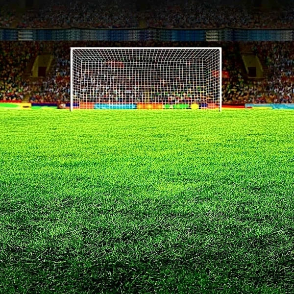 Spain Defeats Portugal in World Cup Round of 16 with Stoppage Time Goal