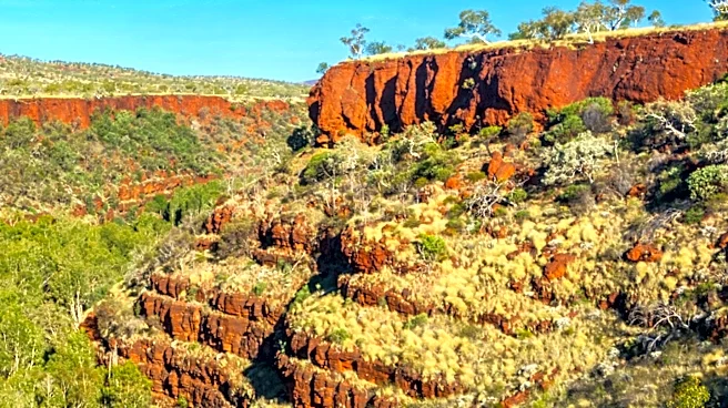 Pilbara Gold Expands Drilling at Mt York to Boost Resource Estimates