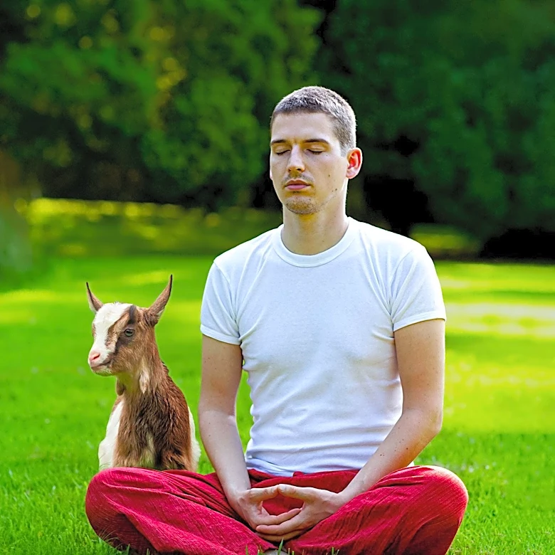 Returning Home Farm Offers Unique Goat Yoga Experience for Wellness Enthusiasts