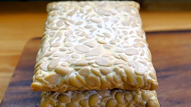 The Better Meat Co. Rebrands as BMC Ingredients to Expand Mycelium Applications