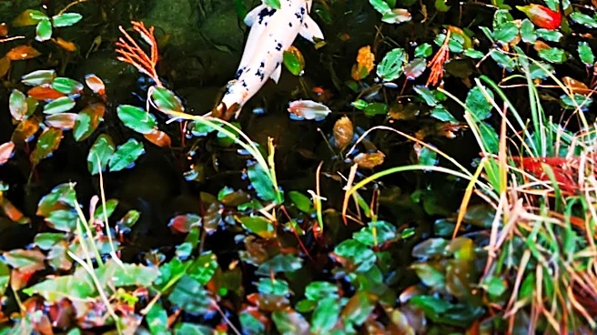 Wexford Garden and Pond Tour Offers Tranquil Escape in Allegheny County