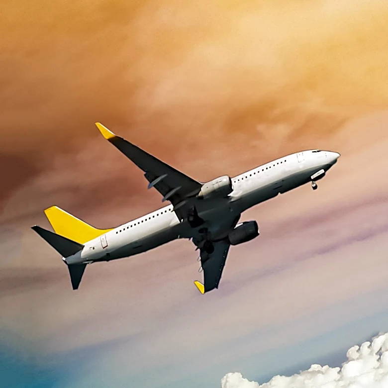 Flybondi Faces Operational Challenges Amid Financial Pressures in Argentina