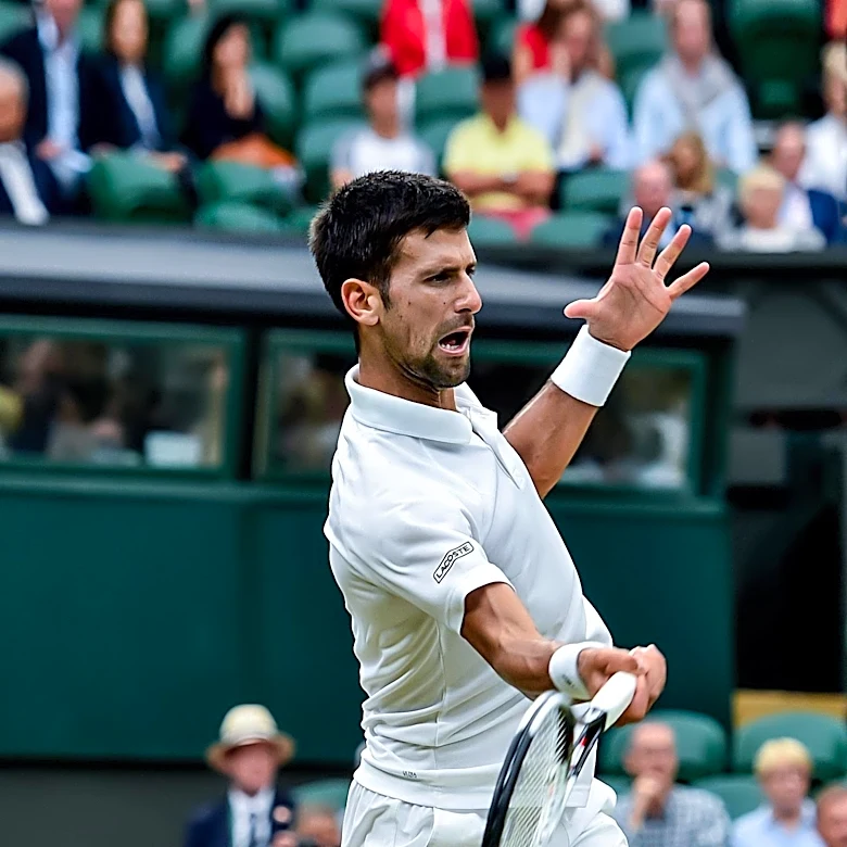 Novak Djokovic Advances to Wimbledon Semifinals After Five-Hour Match