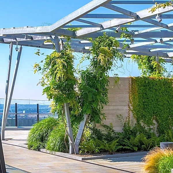 Urban Growers Collective and Obama Foundation Launch Garden Gatherings at Presidential Center