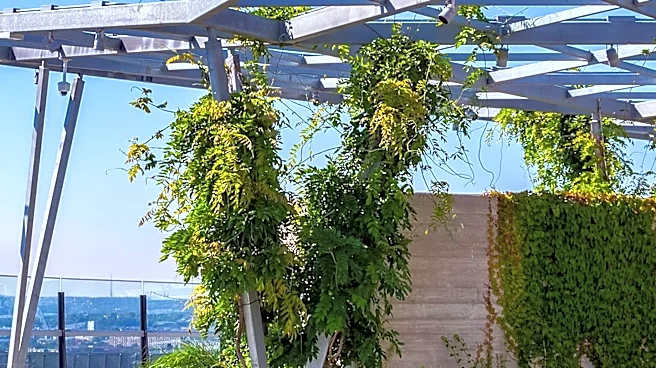 Urban Growers Collective and Obama Foundation Launch Garden Gatherings at Presidential Center