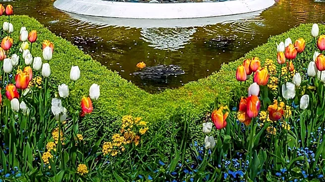 Wexford Garden and Pond Tour Offers Scenic Retreat in Allegheny County