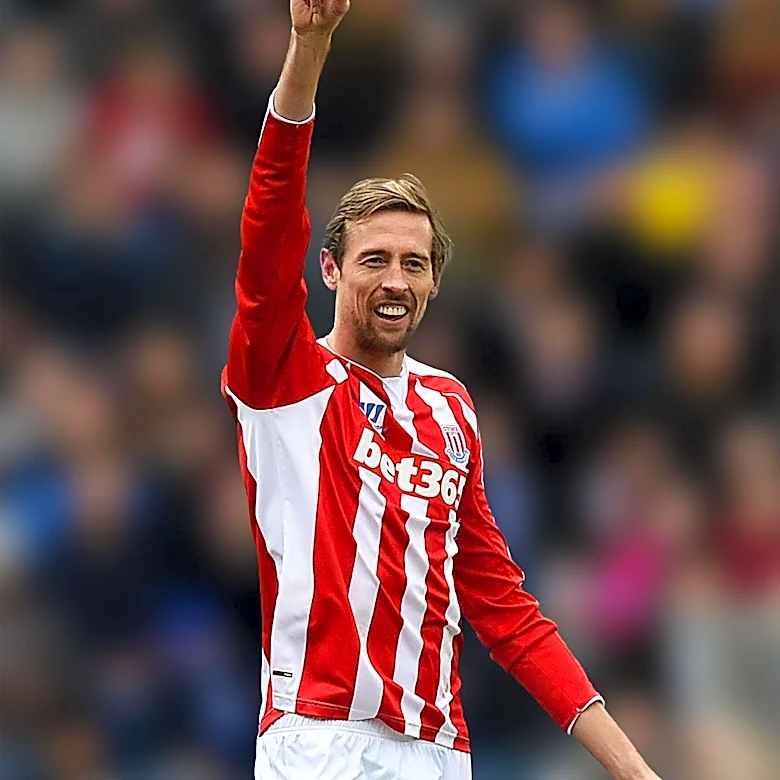 Stoke City Midfielder Ingelsson Confident Amid Promotion Pressure