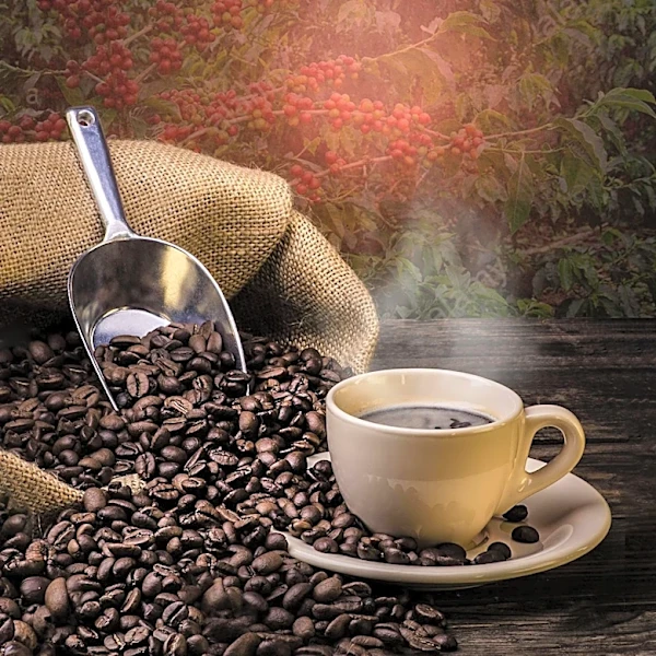Pact Coffee Expands Subscription Model with Focus on Sustainability and Social Impact