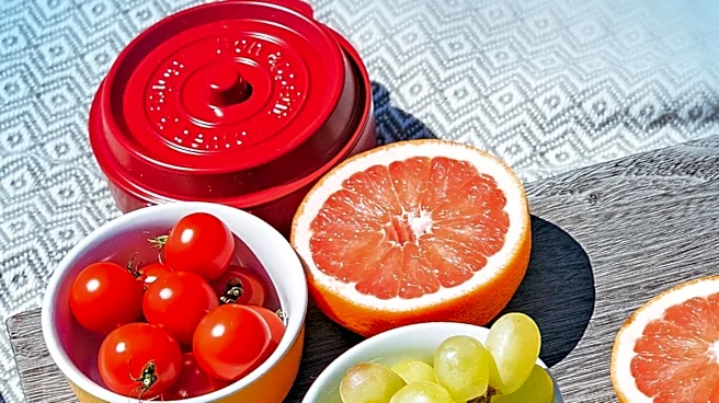 Bakeful Expands Snack Portfolio at Target with Health-Conscious Products