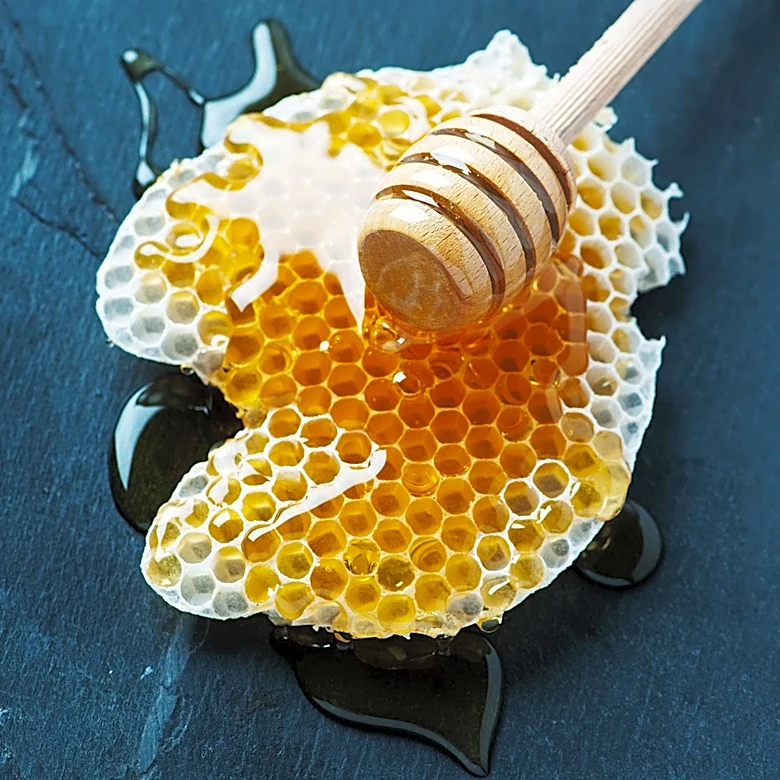 Brooklyn Beekeeping Program Empowers People with Disabilities