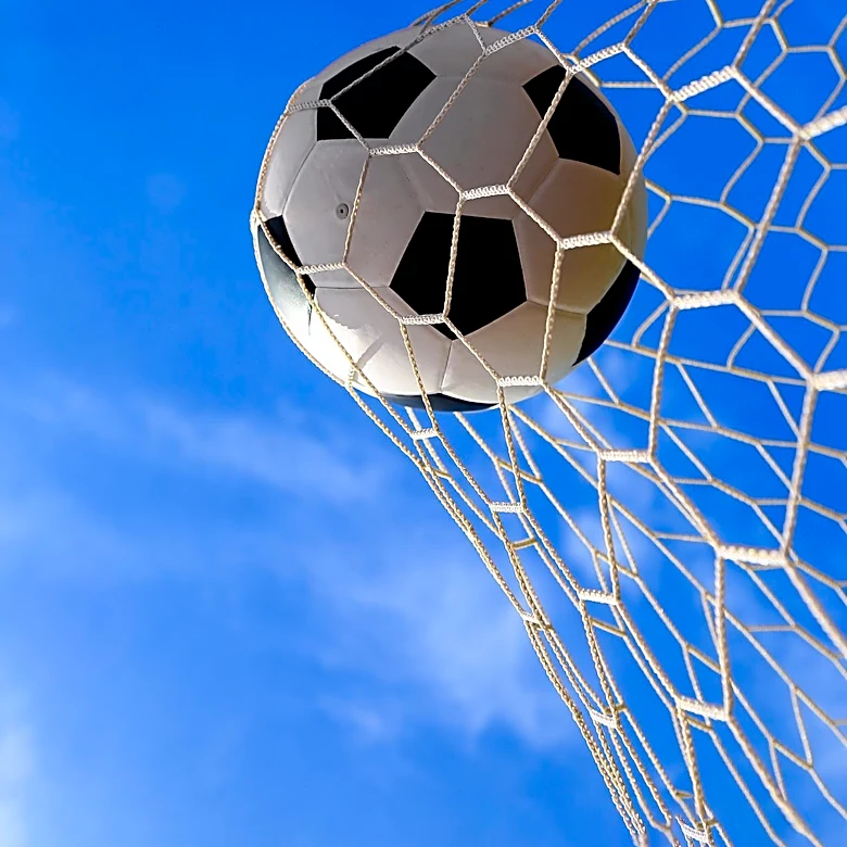 Ipswich Town Signs Brazilian Striker Emersonn from Toulouse for Premier League Ambitions