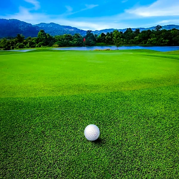 Georgia Golf Courses Ranked Among Top 100 Public Access in the U.S.
