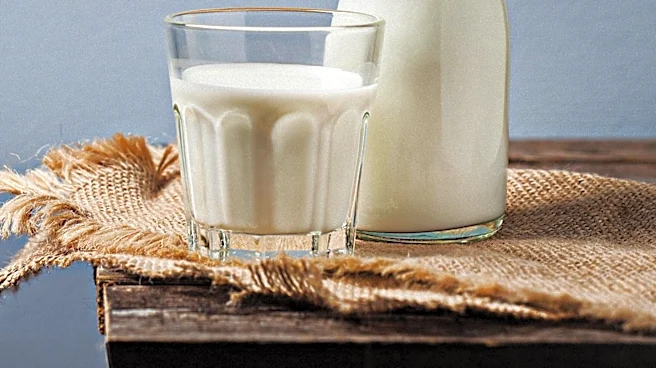 USMCA Review Aims to Boost U.S. Dairy Trade Amidst Market Challenges
